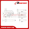 Stainless Steel European Type Dee Shackle