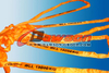 WLL 15T Polyester Round Slings