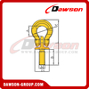  DS292 G80 Lifting Eye Screw with Omega Link