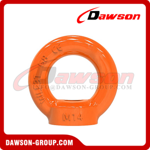  DS055 G80 Eye Nut Rigging for Lifting