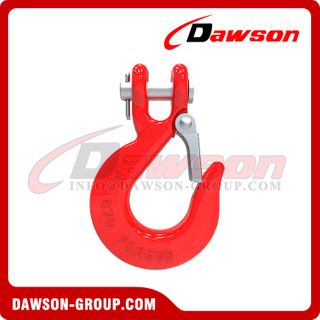 DS673 G70 New Type Clevis Slip Hook with Latch