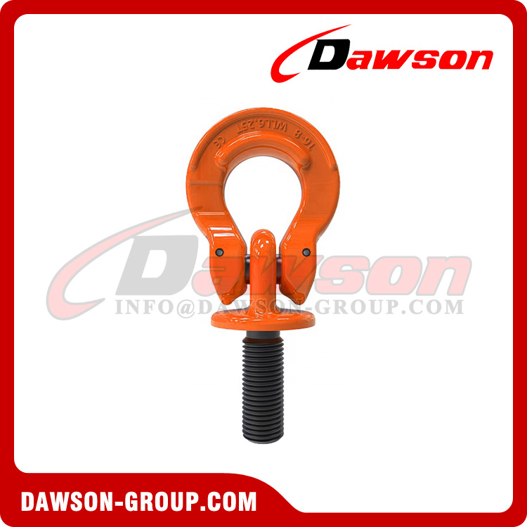  DS292 G80 Lifting Eye Screw with Omega Link